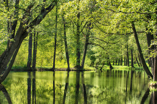 Green all over