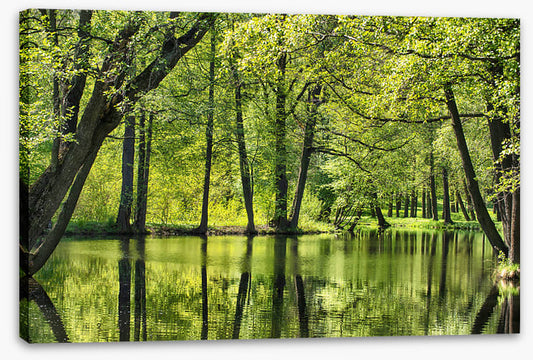 Green all over
