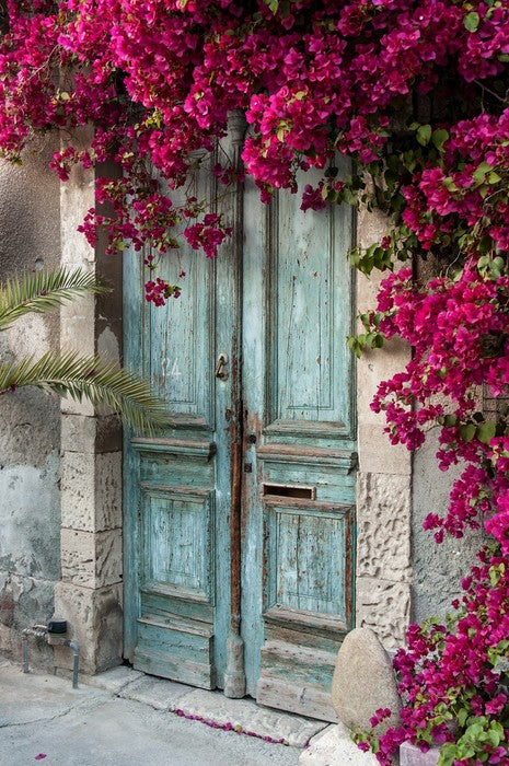 Old wooden door with bougainvillea