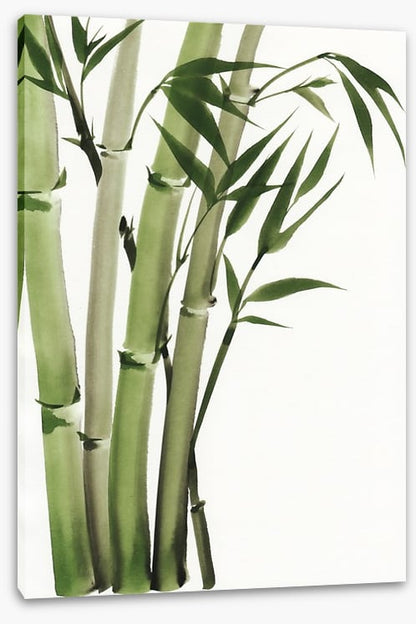 Elegant bamboo