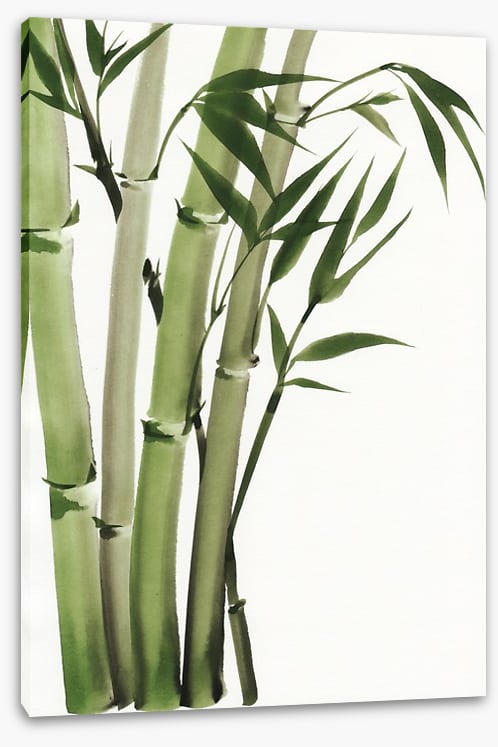Elegant bamboo