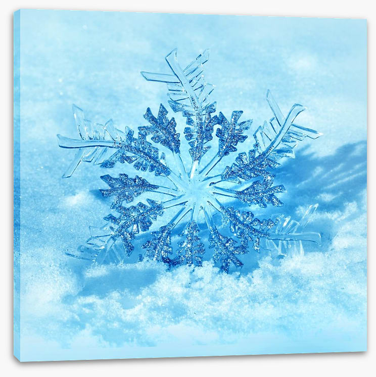 Frozen flake