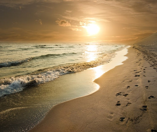 Golden sunset on the shore