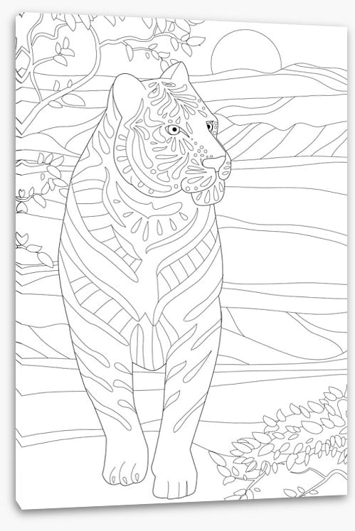 Colour me tigress