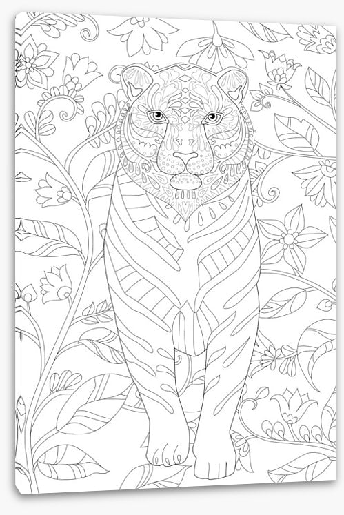 Colour me tiger