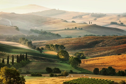 Tuscany unfolding