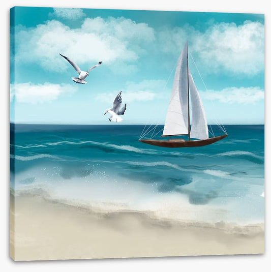 Seagull sail