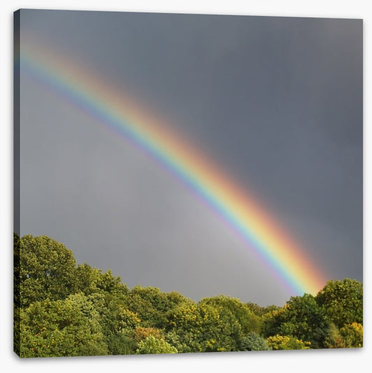 Rainbows