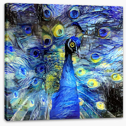 Starry night peacock