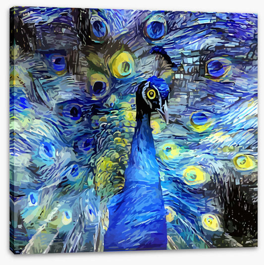 Starry night peacock