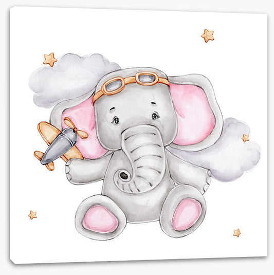 Elephants