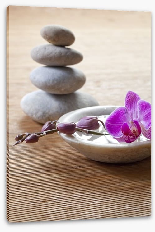 Pampering orchid
