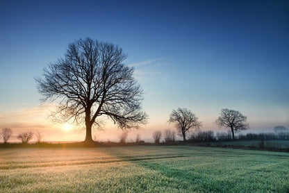 A new day dawns