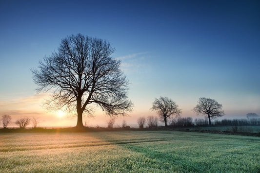 A new day dawns
