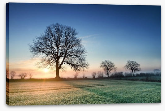 A new day dawns