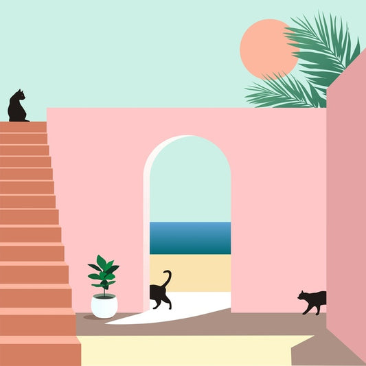 Black cat arch