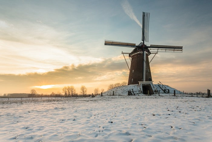 The windmill
