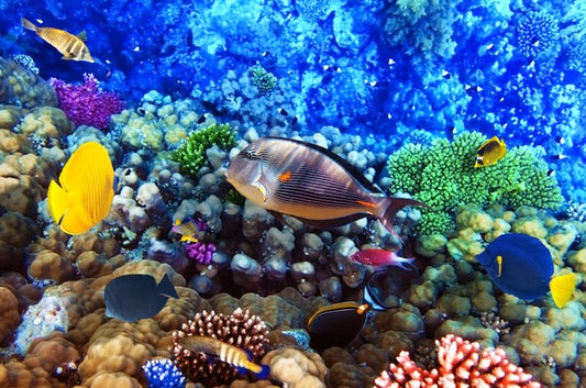 Underwater