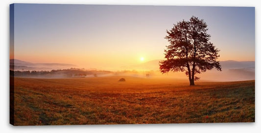 The alone tree