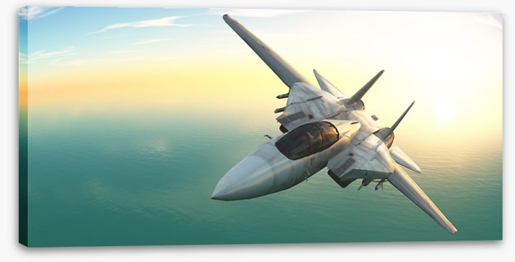 Fighter jet