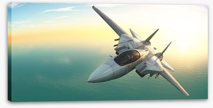Fighter jet