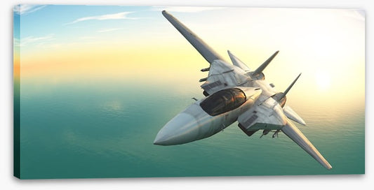 Fighter jet