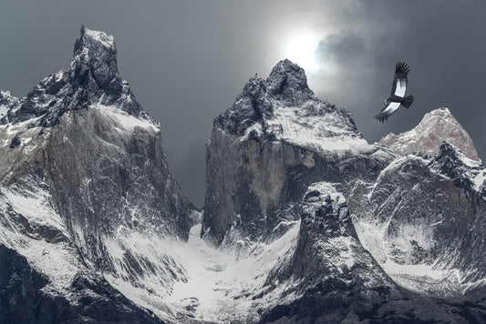 Flight of the condor