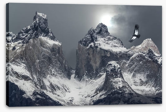 Flight of the condor