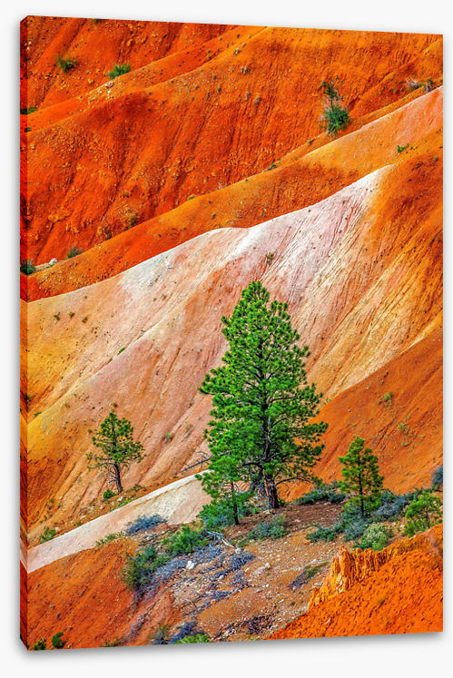 Bryce Canyon greens