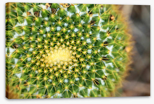 Game of thorns