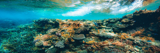 Underwater