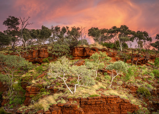 Karijini treescape