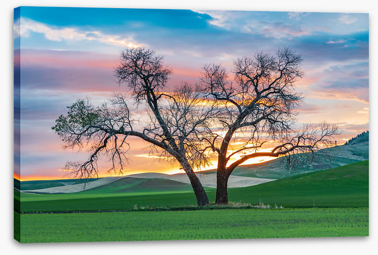 Cottonwood country