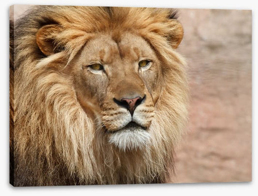 The old king