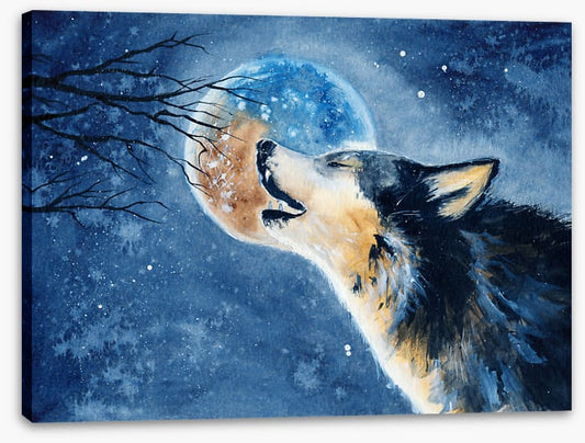 Howling wilderness