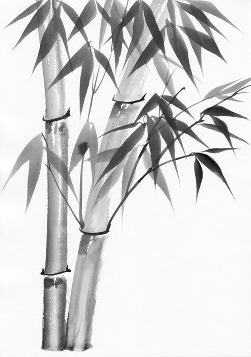 Bamboo watercolour