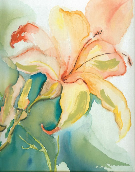 Lily of the garden