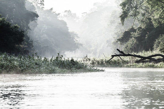 Rivers