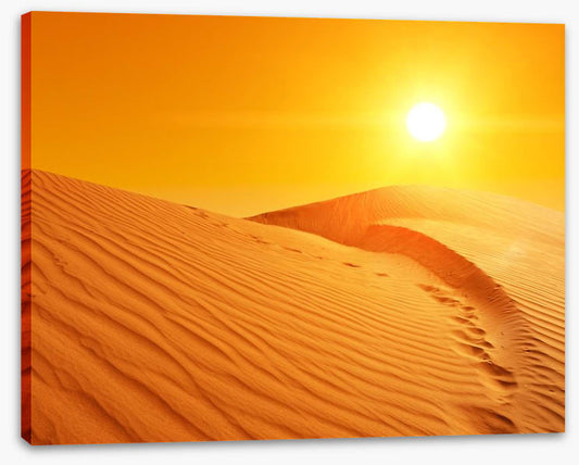 Desert