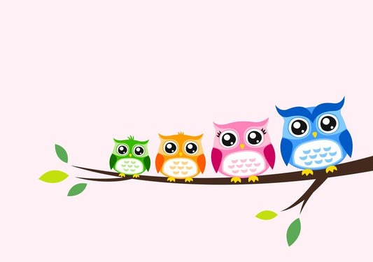 Rainbow owls