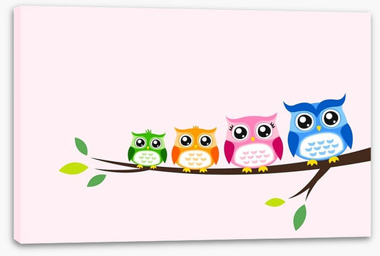 Rainbow owls