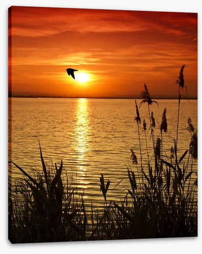 Sundown silhouettes