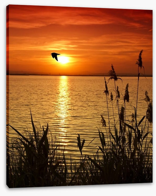 Sundown silhouettes