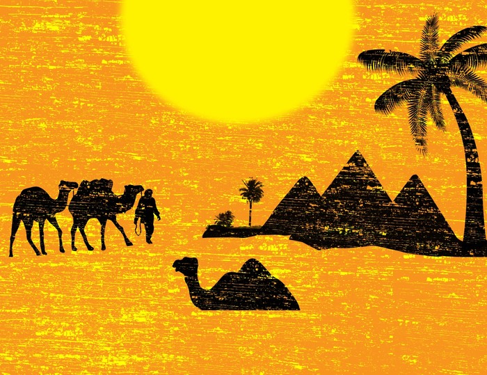 Bedouin bound