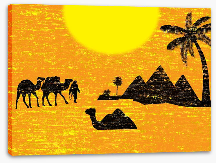 Bedouin bound