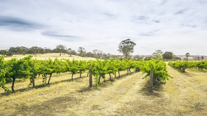 Adelaide