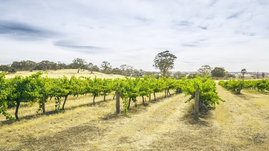 Adelaide