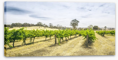 Adelaide
