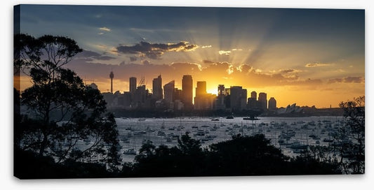 Spectacular sunset over Sydney city