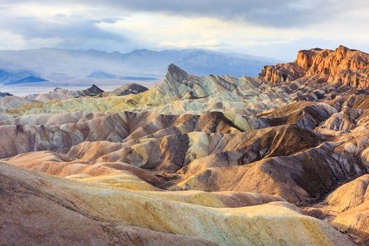 Desert